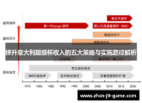 提升意大利超级杯收入的五大策略与实施路径解析 提升意大利超级杯收入的五大策略与实施路径解析