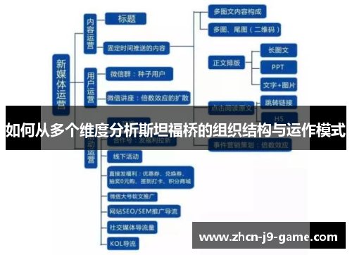 如何从多个维度分析斯坦福桥的组织结构与运作模式 如何从多个维度分析斯坦福桥的组织结构与运作模式
