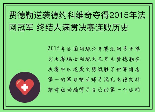 费德勒逆袭德约科维奇夺得2015年法网冠军 终结大满贯决赛连败历史