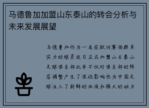 马德鲁加加盟山东泰山的转会分析与未来发展展望 马德鲁加加盟山东泰山的转会分析与未来发展展望